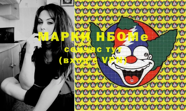 гидра Абаза