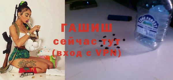 гидра Абаза