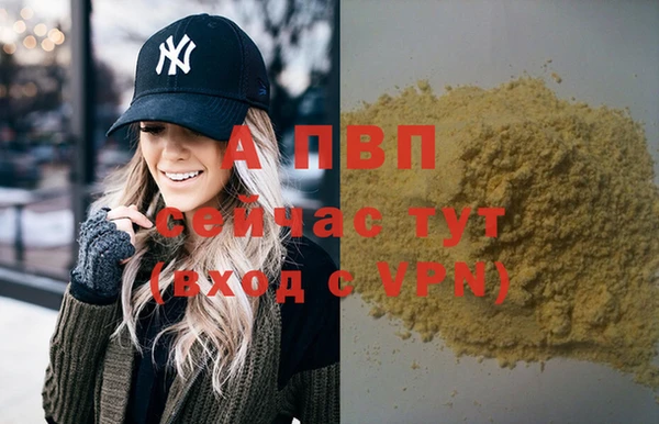 гидра Абаза